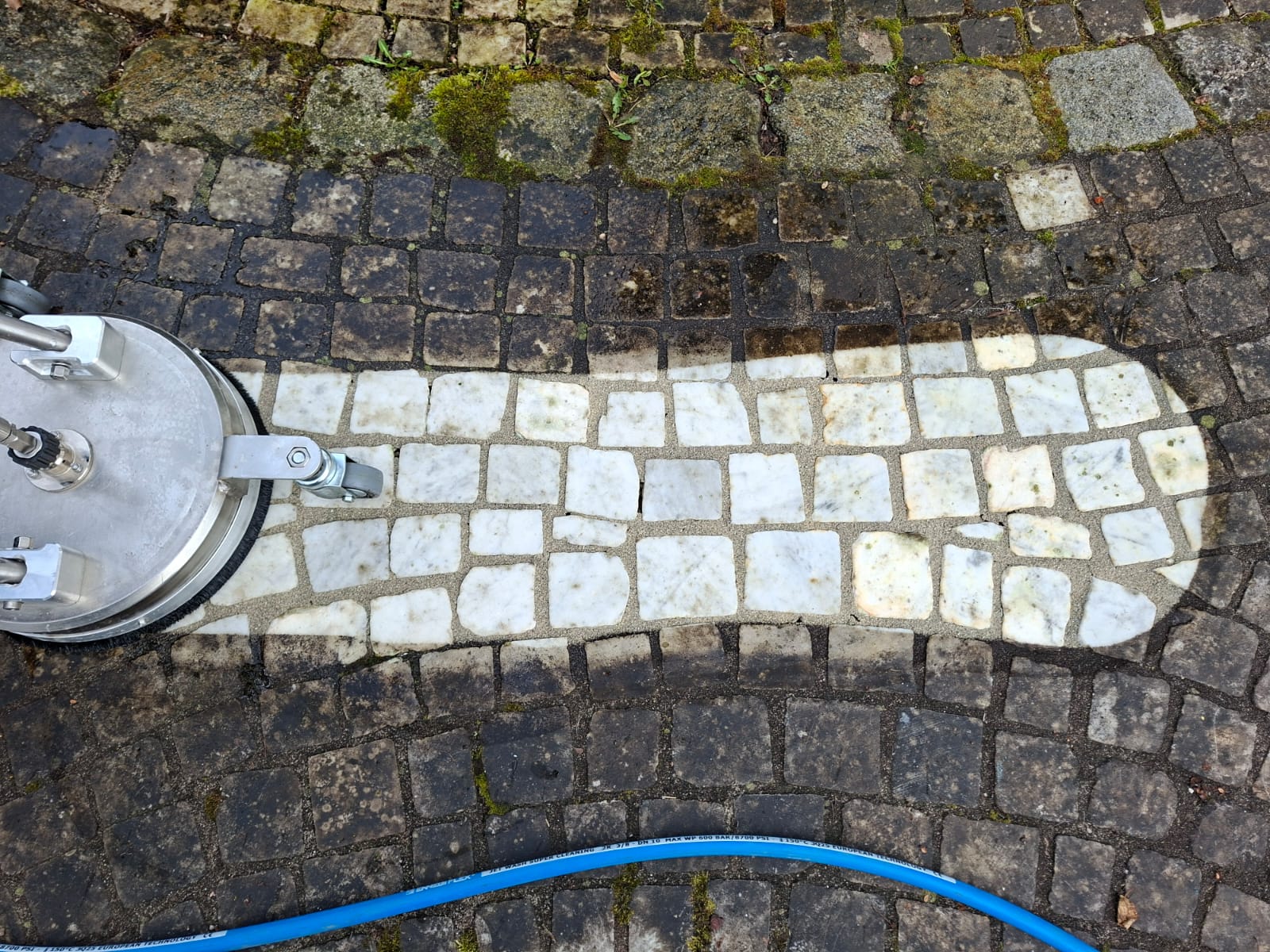 Probefläche Hintergrund